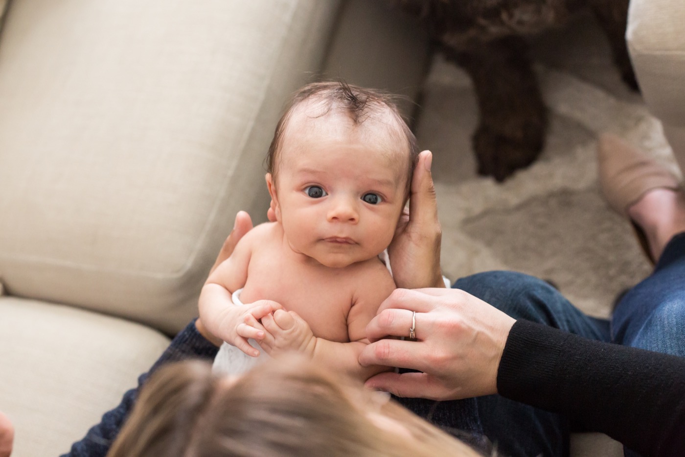 Wide-awake newborn baby with eyes open being held by parents on a couch during an in-home newborn photography session in Grand Rapids Michigan — Jules K Photography