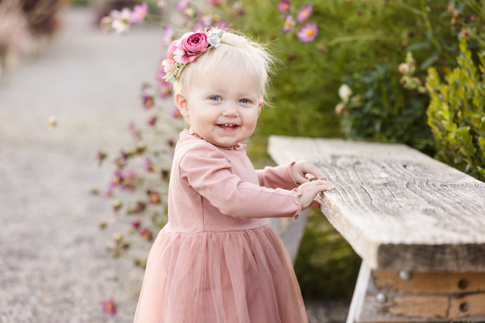 Baby girl portrait session Grand Rapids Michigan