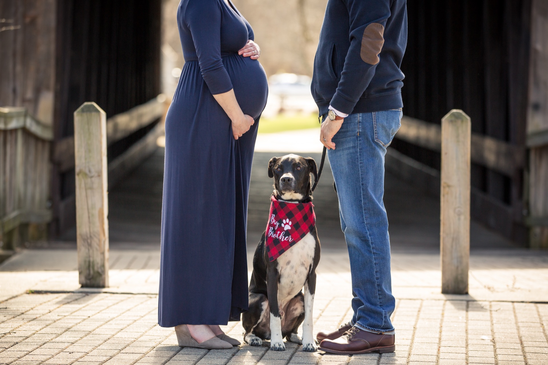 Maternity mini session with dog Grand Rapids Michigan